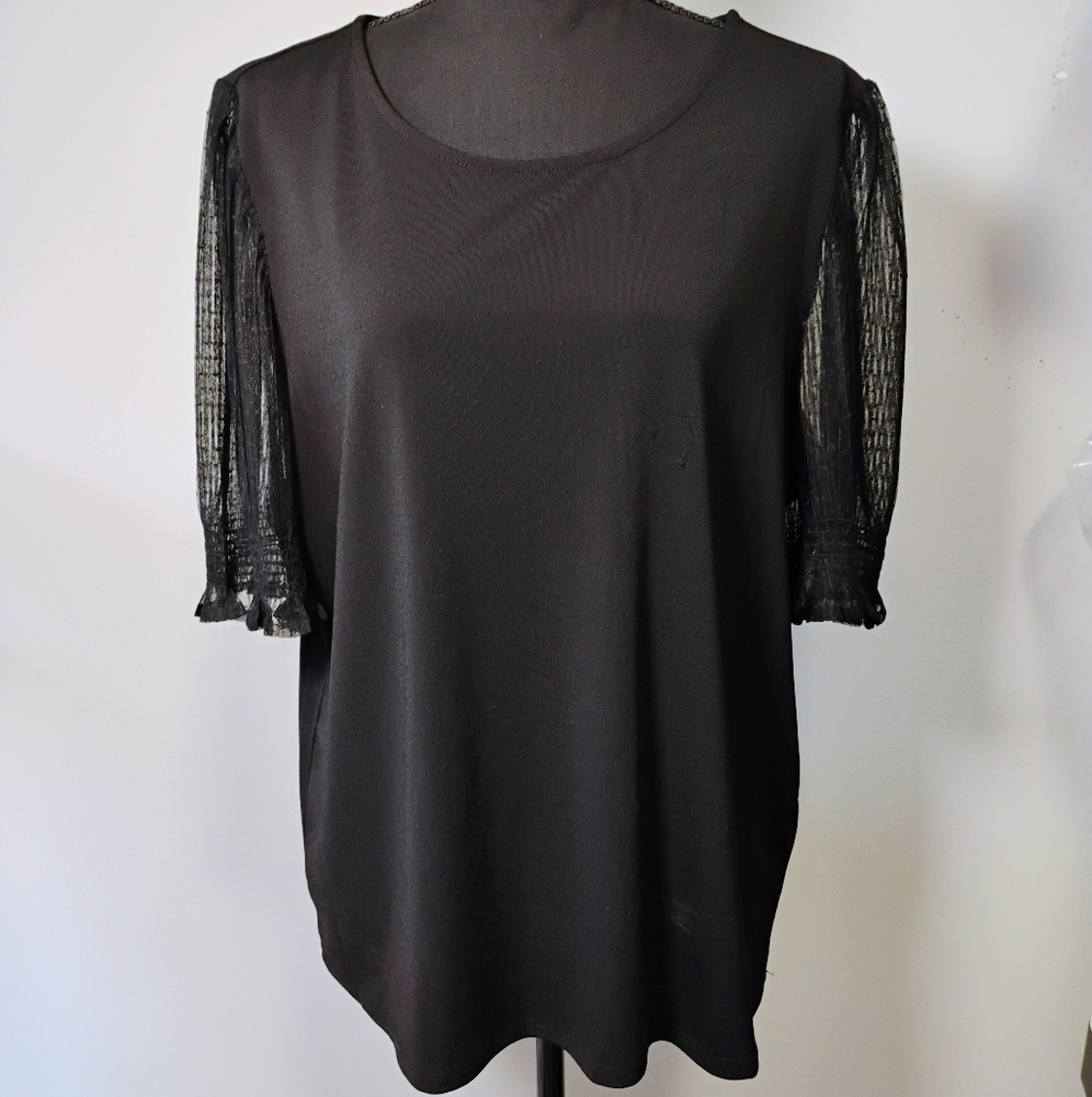 Adrianna Papell Black Blouse with Sheer Sleeves